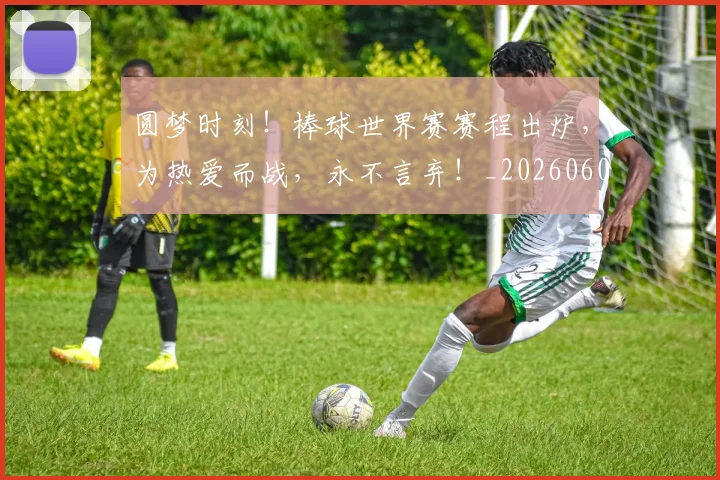 圆梦时刻！棒球世界赛赛程出炉，为热爱而战，永不言弃！_20260604144403