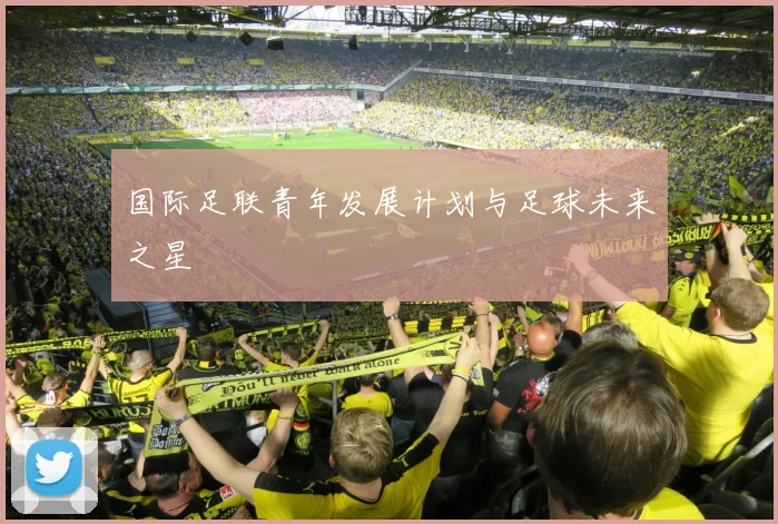 国际足联青年发展计划与足球未来之星